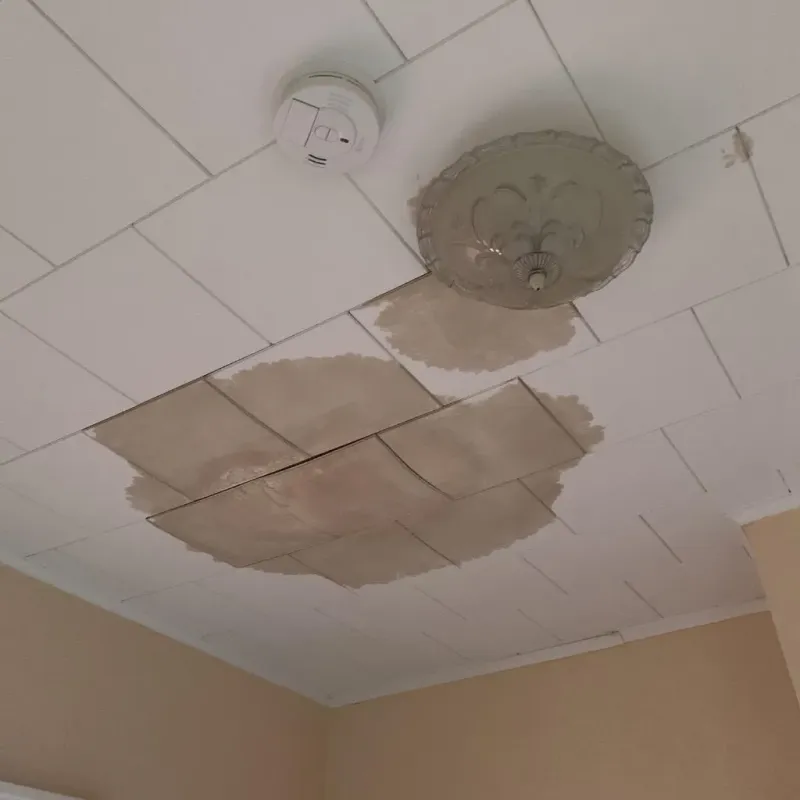 Ceiling Water Damage Repair in Lufkin, TX